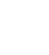 logo_nevo_10ya_white